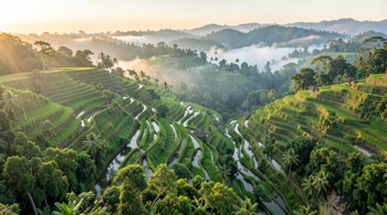 10-day trip to Bali with flights and resort stay in 2026: An Analytical Overview of Planning and Logistics