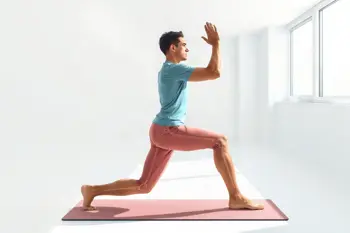 Natural approaches for joint flexibility and mobility: An evidence-based analysis