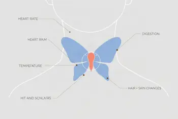 Warning signs of thyroid disease: clinical patterns and when evaluation matters