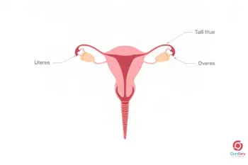 Warning signs of uterine cancer: A clinical overview of symptoms and diagnostic markers