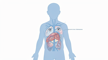Early symptoms of type 2 diabetes you should know: Clinical Analysis and Diagnostic Indicators