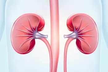 Recognizing the warning signs of kidney disease in adults: A clinical analysis of indicators and risks