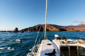 Escapada de lujo de 7 días a Galápagos con vuelos incluidos: Análisis de paquetes, costos y regulaciones