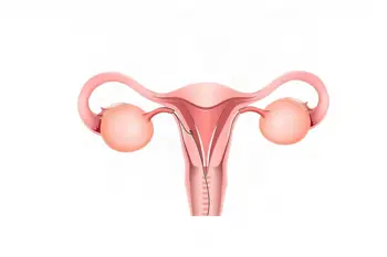 Signs you may have ovarian cysts: Clinical Analysis of Symptoms and Diagnostic Considerations