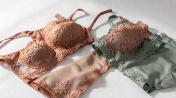 Gennemsigtigt lingeri: lingeristile i 2026: En analyse af årets modetendenser