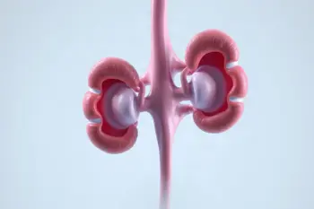 Natural remedies for UTI: An evidence-based analysis of management and prevention strategies