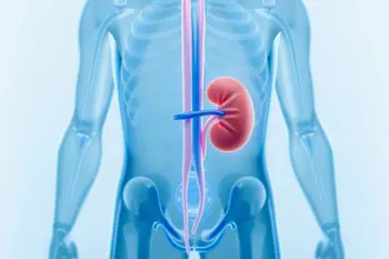 Common warning signs of kidney disease to monitor: An Analytical Overview of Clinical Indicators and Risk Factors