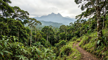 6-day all-inclusive Semuliki National Park escape with meals: An Analytical Guide to Western Uganda Logistics