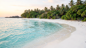 Affordable all-inclusive Caribbean vacation deals for 2026: An Analysis of Market Trends and Planning Strategies