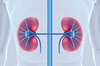 Early Signs of Kidney Disease: A Clinical Overview of Silent Indicators and Diagnostic Protocols