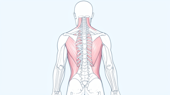 When stiffness may indicate an underlying condition: An analytical review of clinical markers