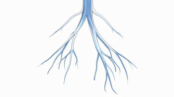 Common symptoms of peripheral neuropathy: A clinical overview of nerve damage manifestations