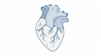 Warning Signs of Atrial Fibrillation: Understanding Clinical Indicators and Diagnostic Realities