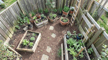 Idées créatives pour aménager son jardin avec un petit budget : guide pratique et astuces éprouvées