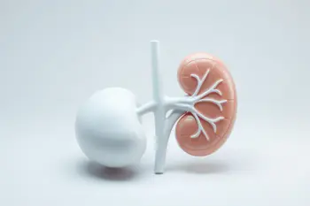 Warning signs of chronic kidney disease: A comprehensive medical overview
