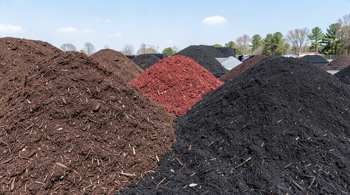 Affordable mulch near me: A Guide to Sourcing Bulk Landscape Materials