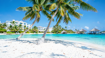 Punta Cana All-Inclusive Direktflug Last Minute: Eine Marktanalyse der karibischen Reisekonditionen
