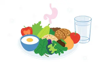 Support options for healthy digestive function: Evidence-based guidance and practical considerations