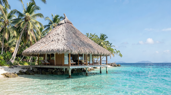 7-day all-inclusive Fiji package with flights and accommodation included: An Analysis of Market Offerings and Travel Logistics