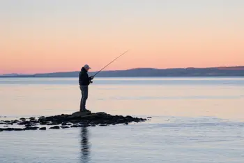 Kystguide til 2026: 4-nætters ophold på Thurø med fiskeri og forplejning inkluderet 2026