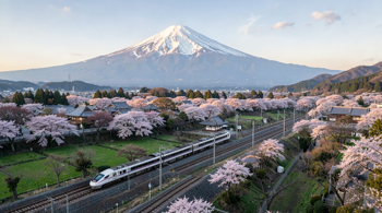 12-day Japan discovery tour with flights included 2026: What Travelers Need to Know