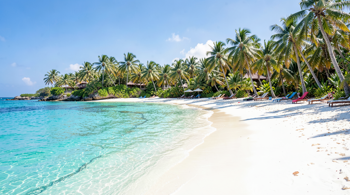 All-inclusive 3-day packages to Barbados: A Comprehensive Analysis of Market Trends and Travel Logistics