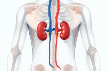 Early warning signs of kidney disease: Clinical analysis of silent symptoms and diagnostic screening