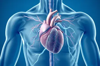 Warning signs of heart disease you should know: A clinical overview of early indicators and cardiac symptoms