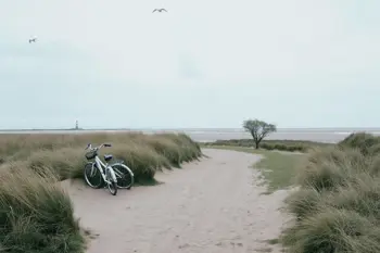 4-nachten vakantie op de Waddeneilanden met verblijf en natuurexcursies: een journalistieke reisgids