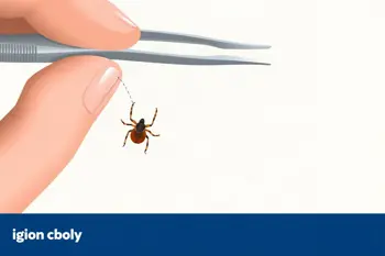 How to remove a tick safely: A clinically informed step-by-step guide