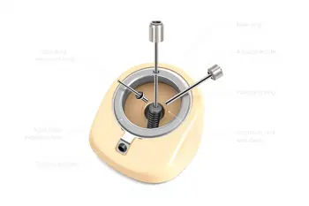 How penile extension devices work: A Clinical and Biophysical Analysis