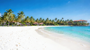 Vacaciones todo incluido de 7 noches en Punta Cana con vuelos y comidas: un análisis integral del mercado turístico