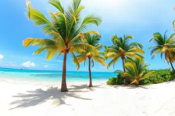 All-inclusive 7-night packages to Punta Cana: A Comprehensive Analysis of Travel Market Trends and Expectations
