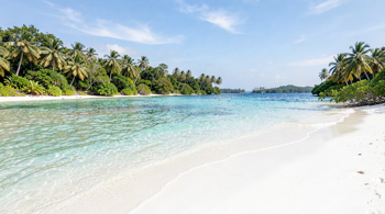 Weekend getaway to Ssese Islands with ferry and hotel included: An Analytical Overview of Planning and Logistics