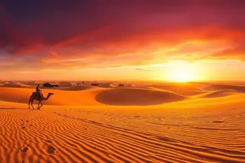 11 Days Tour to Morocco: A Complete Traveler's Guide to Routes, Highlights, and What to Expect
