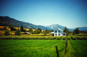 Current listings for farm homes in the Okanagan Valley: A comprehensive overview of agricultural real estate trends