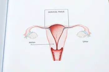 Warning signs of cervical cancer: A comprehensive clinical overview of symptoms and screening protocols