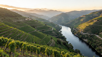 10 days Portugal travel packages: A Professional Analysis of Planning and Itinerary Structure