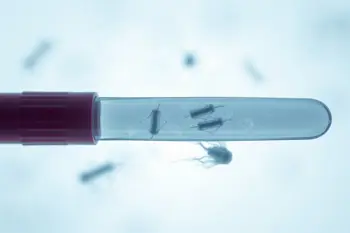Warning Signs of Bacterial Vaginosis: A Clinical Overview of Diagnostic Indicators