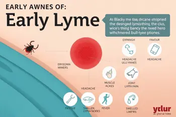 Early symptoms of Lyme Disease you should know: Clinical signs, timing, and warning patterns