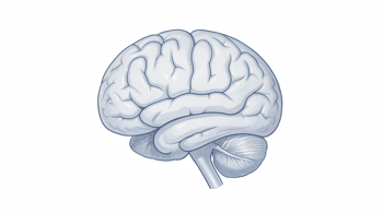 Warning Signs of a Brain Tumor: A Clinical Overview of Neurological Indicators and Diagnostic Realities