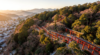 12-Day Trip to Japan: A Complete Planning Guide for First-Time Visitors