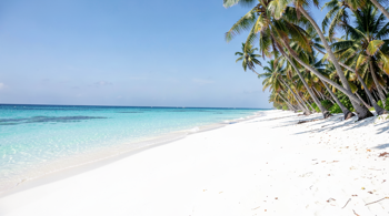Last-minute all-inclusive deals in the Caribbean: An Analysis of Market Dynamics and Travel Planning