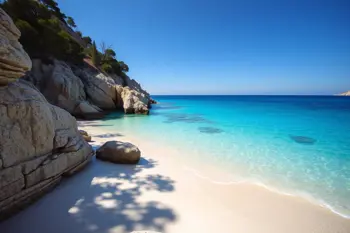 Análisis y tendencias de mercado: Escapada de 7 días a las Islas Baleares con vuelo y hotel incluidos 2026