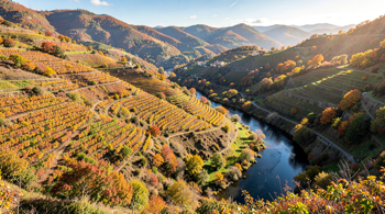 14-Day Portugal Tour with Flight Included: An Analysis of Market Offerings and Itinerary Structures