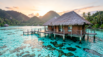 Fiji holiday package with overwater bungalow accommodation and meals: A Comprehensive Market Analysis and Industry Report