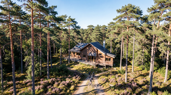 Weekendje Veluwe in een bungalow met fietsroutes: Alles wat je moet weten