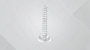 Lower Back Pain Treatments: A Comprehensive Review of Clinical Management Strategies