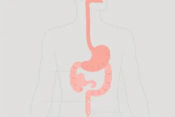 Natural Acid Reflux Relief: A Comprehensive Analysis of Evidence-Based Management Strategies