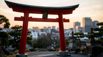 7-Day Japan Tour Package with Flights Included: An Analytical Overview of Itinerary Structures
